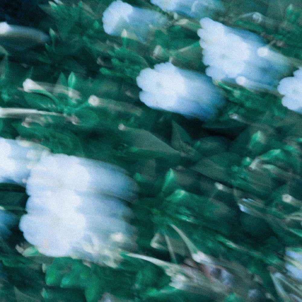 YOUTH - Spring in Your Eyes (Feat. Dear).mp3