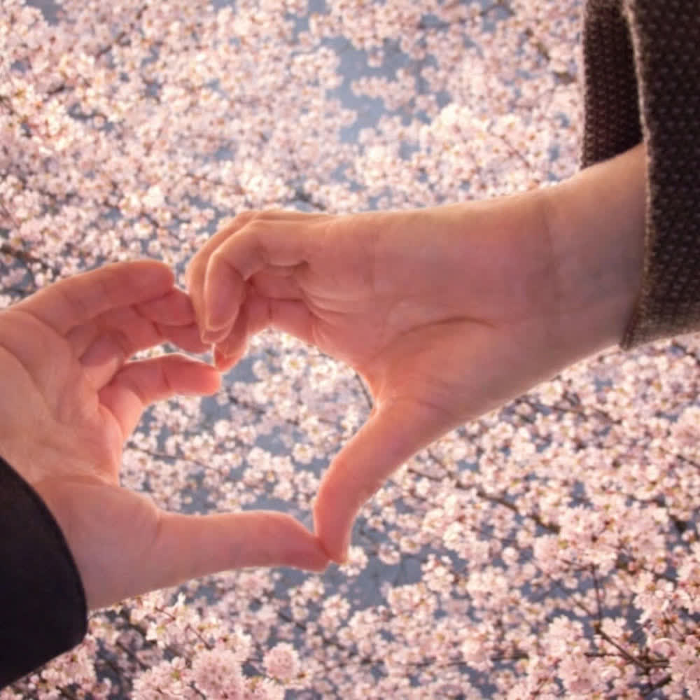 STEN - 봄이 된 이유 (Why It’s Spring) (Feat. SE O).mp3