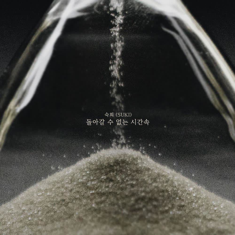 Suki - 돌아갈 수 없는 시간속 (In the time we can't go back).mp3