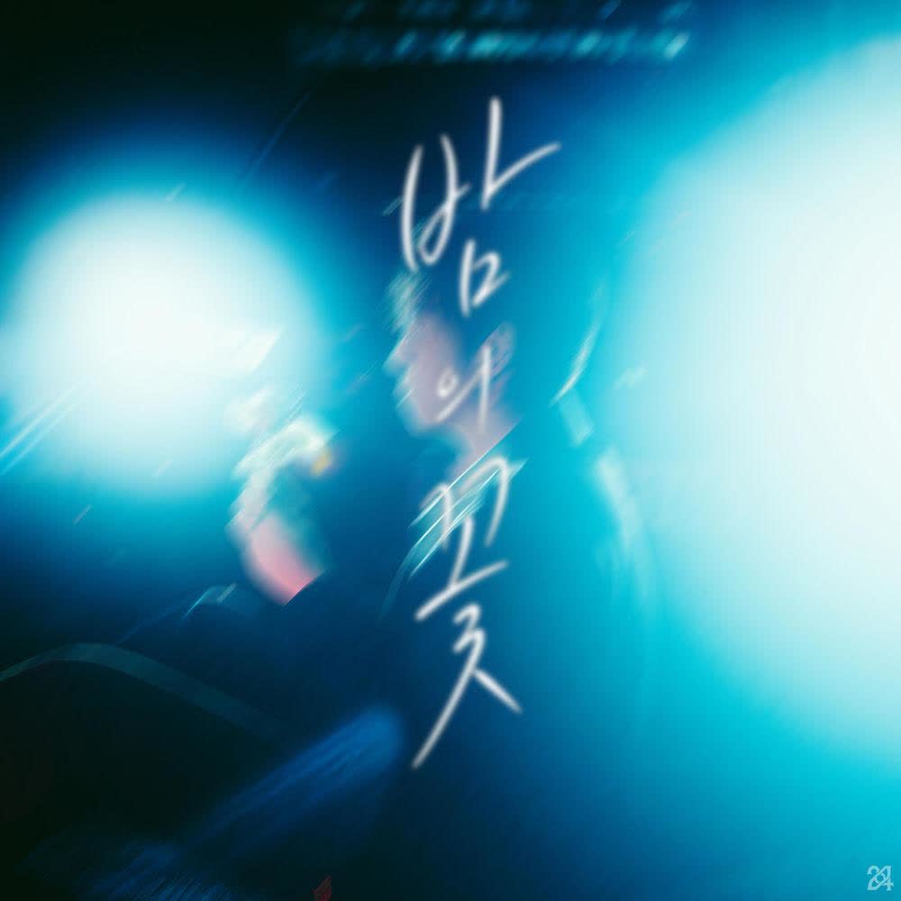 24th - 밤의 꽃 (Night Flower).mp3