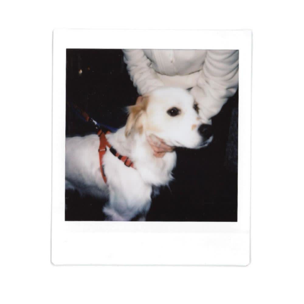 TWLV - GOODBOY SYNDROME.mp3