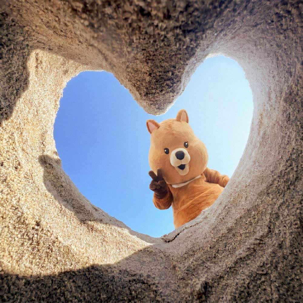NavyQuokka - summertime.mp3