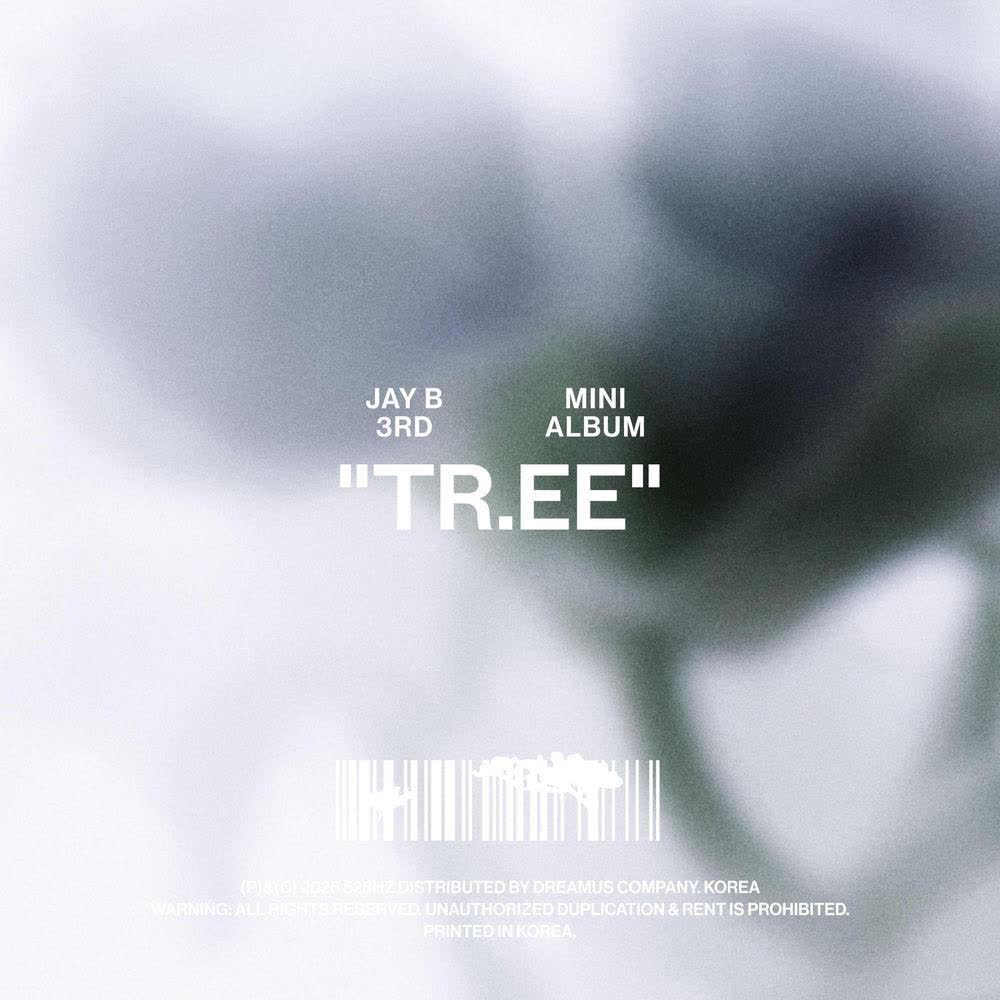 We by JAY B